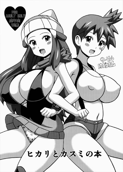 Il libro di Hikari e Kasumi (Pokémon)